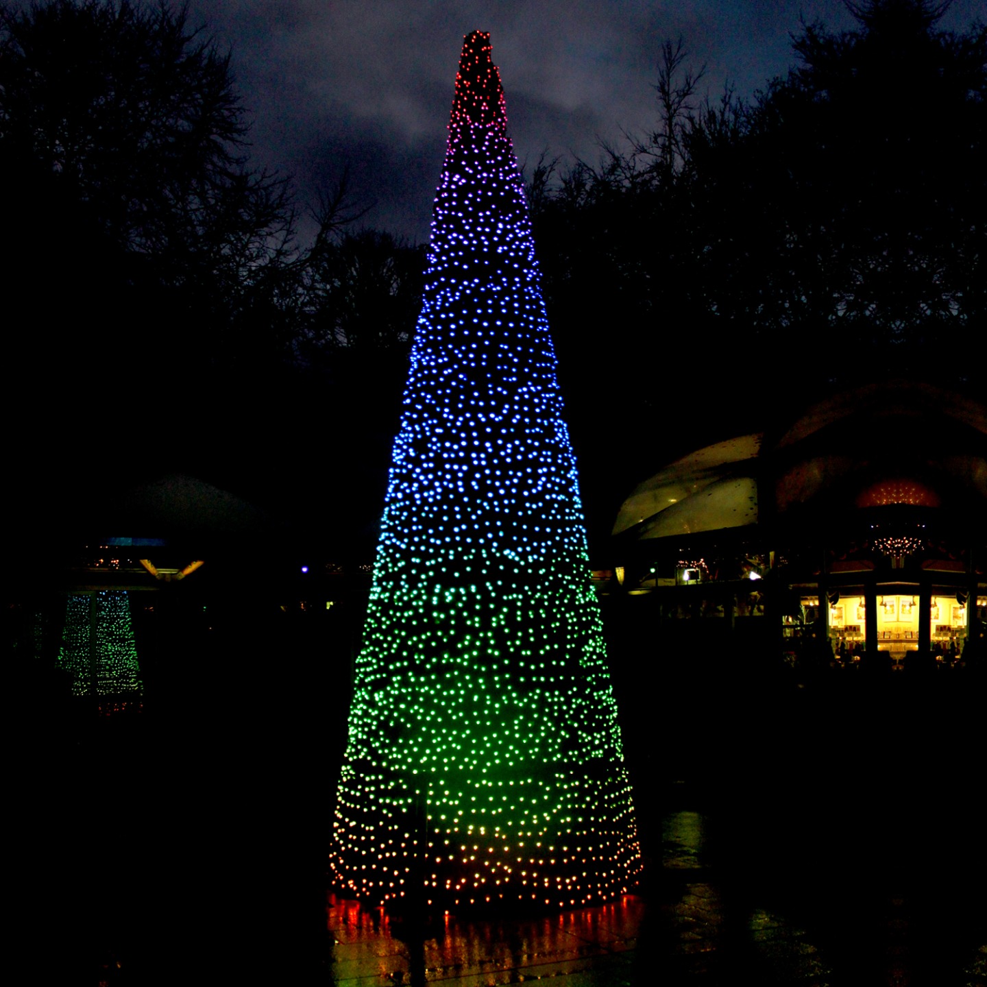 Review of Christmas at Lilidorei and the Winter Light Trail at The